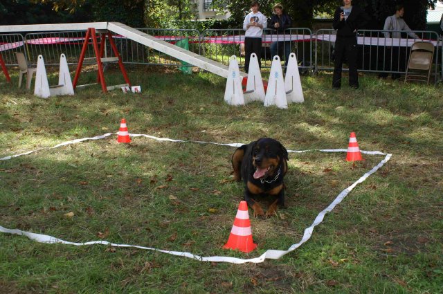 foire-haricots 2011-09-17et18